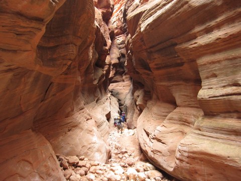 This 3.7-Mile Hiking Trail In Utah Takes You Through A Slot Canyon That Is Oodles Of Fun