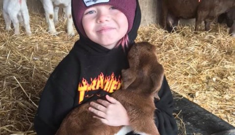 Cuddle With Goats At Strohmer Family Farm In Maryland For A Unique Adventure