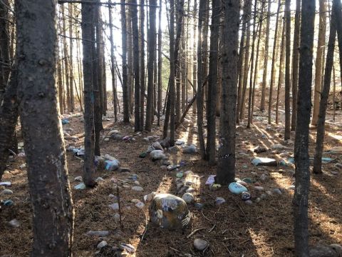 There Are Fairies Hiding On The Fairy Forest Trail In Utah Just Like Something Out Of A Storybook