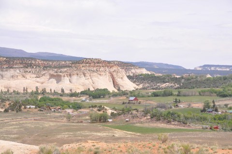 This Small Town In Utah Claims To Be The Last To Receive Its Mail By Mule Train