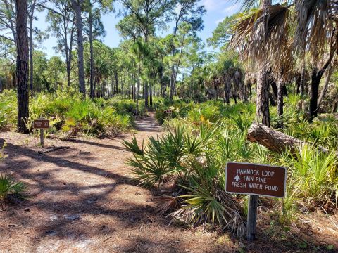 The Easy 3-Mile Caladesi Island Trail Will Lead You Around An Enchanting Florida Island