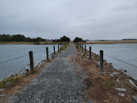 The One Loop Trail In Delaware That's Perfect For A Short Day Hike, No Matter What Time Of Year