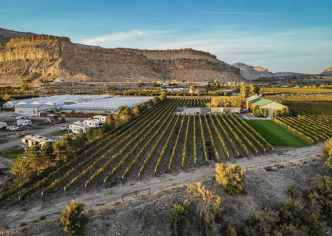 You Can Camp Overnight At This Peach Orchard In Colorado