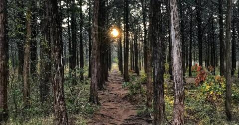 The Creepiest Hike In Oklahoma Takes You Through The Ruins Of An Abandoned Government Experiment