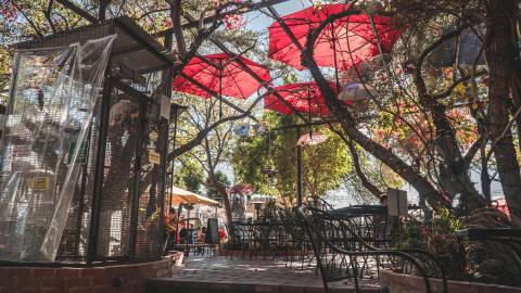 Order Delicious Food And A Pint Surrounded By Tropical Birds At This Only-In-Arizona Brewery