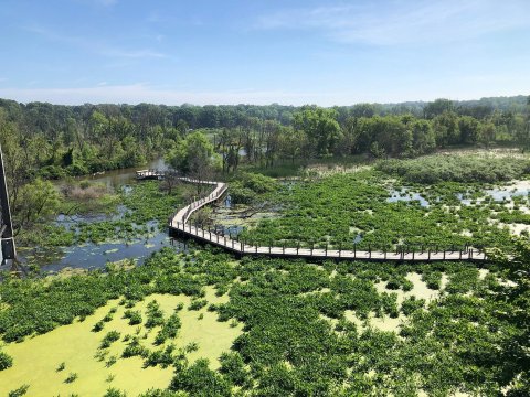 Connect With Mother Nature When You Visit Any Of These 9 Breathtaking Parks In Michigan