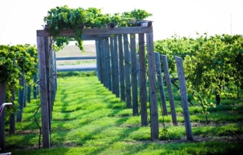 You Can Sleep At This Remote Winery In Kansas