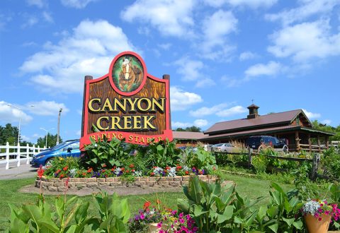 Visit The Canyon Creek Waterfall By Horseback On This Unique Tour In Wisconsin