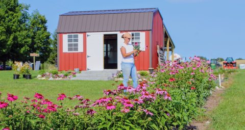 A Colorful U-Pick Flower Farm, 31 Petals In Michigan Is Like Something From A Dream