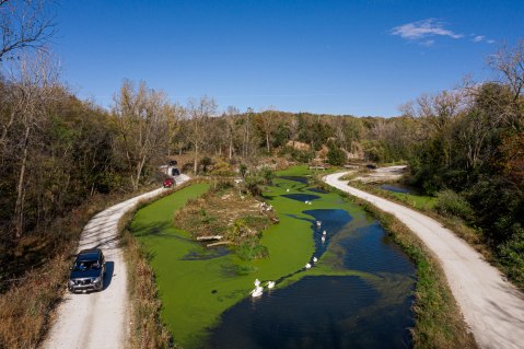 You Can Camp Overnight At This Wildlife Safari Park In Nebraska