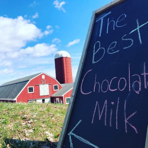 Take A Sunday Drive, Stop For Milk And Cheese, And Play With Cats At Deerfield Farm In Connecticut