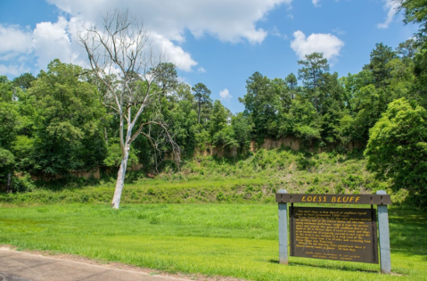 Hidden In Adams County, Mississippi, Loess Bluff Is A Less Traveled Geologic Formation Worth Exploring