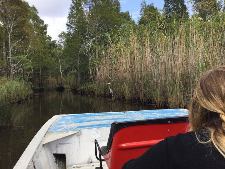 Gulf Coast Gator Ranch