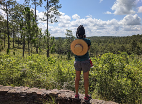 Take A Hike To A Louisiana Viewpoint That’s Like Being On Top Of The World