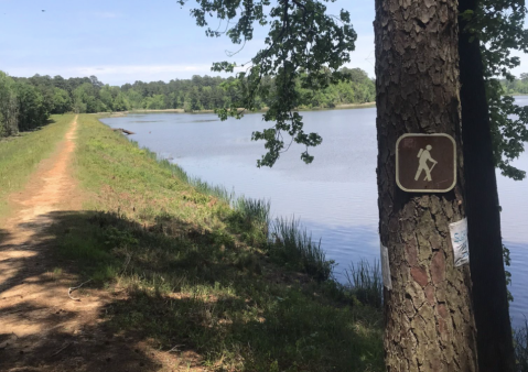 Hidden In The Kisatchie Forest, The Sugar Cane Trail Is A Less Traveled Hike Worth Exploring