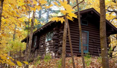 Sleep Among Ancient Trees At Hunt Hill In Wisconsin