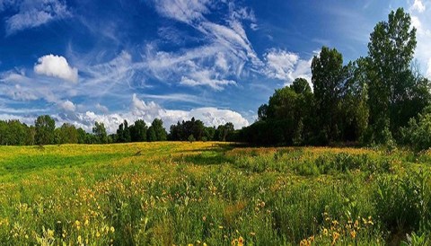 3 Michigan Nature Centers That Make Excellent Family Day Trip Destinations