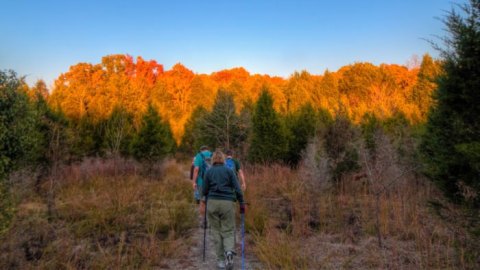 If There Are Only 5 Hikes You Ever Do Near Nashville, Make Them These