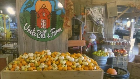 This Chicken Farm In Iowa Is Also A Restaurant And It's Fun For The Whole Family