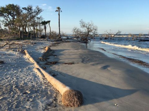 The Must-Visit Beach In South Carolina That Has Its Own Scenic 1-Mile Trail Hike