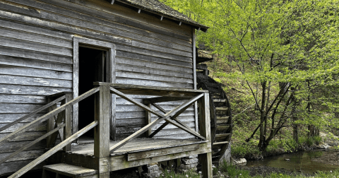 The Creepiest Hike In Tennessee Takes You Through The Ruins Of An Abandoned Cemetery