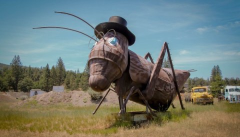 There Are Giant Whimsical Creatures Hiding On Cassel Road In Northern California Just Like Something Out Of A Storybook