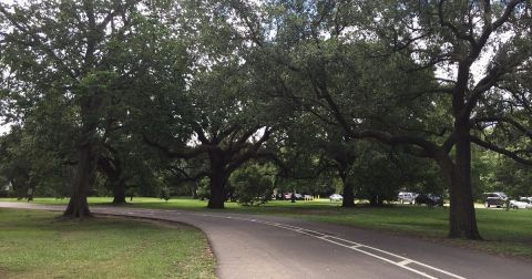 9 Easy And Beautiful Spring Hikes Everyone In Louisiana Will Love