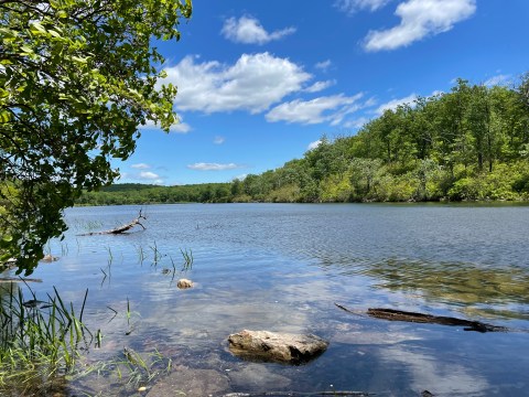 The Clearest Lake In New Jersey, Sunfish Pond, Is Almost Too Beautiful To Be Real