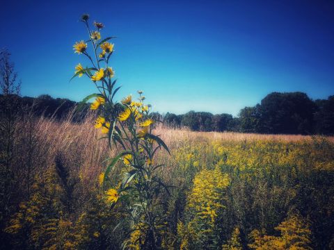 McCloud Nature Park In Indiana Is The Perfect Place For A Quiet Day Trip