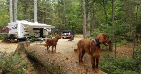 The 7 Highest Rated Campgrounds In New Hampshire Will Remind You Why We Love The Outdoors With Friends