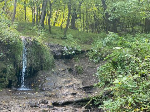 Take An Easy Out-And-Back Trail To Enter Another World At Mineral Springs In North Dakota