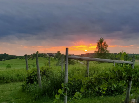 You Can Camp Overnight At This Remote Vineyard In Minnesota