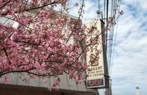 Four Generations Of A Kentucky Family Have Owned And Operated The Legendary Plehn's Bakery