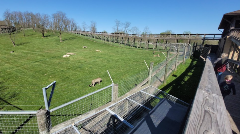 This Safari Park In Ohio Also Features A Restaurant And It's Fun For The Whole Family