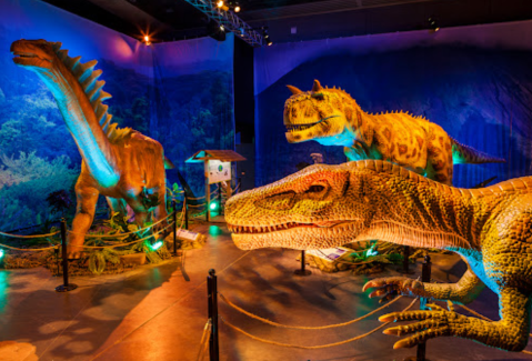 There’s A Dinosaur-Themed Attraction In Massachusetts Called Dino Safari