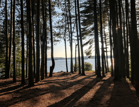 There’s A New 150-Site Campground Coming To The Southwestern Adirondacks