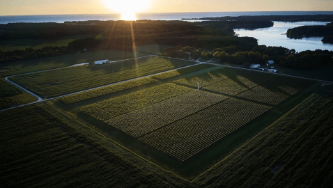 There's Nothing Better Than The Waterfront Chatham Vineyards On A Warm Virginia Day