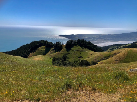 Take A Stroll Through Mount Tamalpais State Park, Then Dine Al Fresco At Sol Food In Northern California