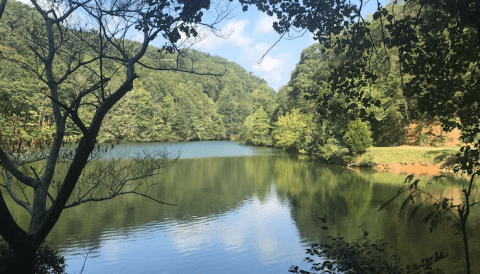 Steele Creek Lake Is A Beautiful Lake Nestled In The Tennessee Mountains