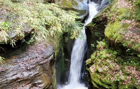 This Ohio Waterfall Is So Hidden, Not Many People Have Seen It In Person