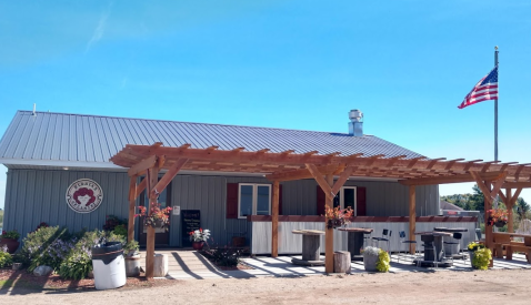 You'll Have Loads Of Fun At This Dairy Farm In Minnesota With Incredible Cheese