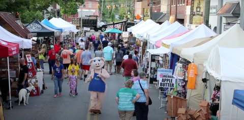 The Bloomin' BBQ Music & Food Festival In Tennessee Is About The Tastiest Event You Can Experience