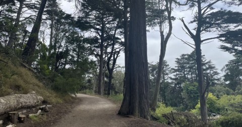 The Creepiest Hike In Northern California Takes You Around A Haunted Lake