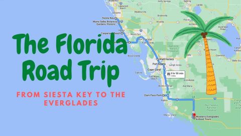 This Florida Road Trip Takes You From The Shores Of Siesta Key To The Everglades Swamps