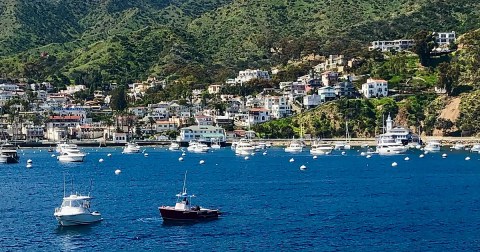 Just An Hour From Dana Point, Catalina Island Is The Perfect Southern California Day Trip Destination