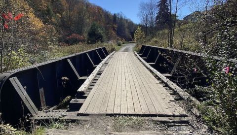 The Easy 0.6-Mile Douglas Falls Trail Will Lead You Through The West Virginia Forest