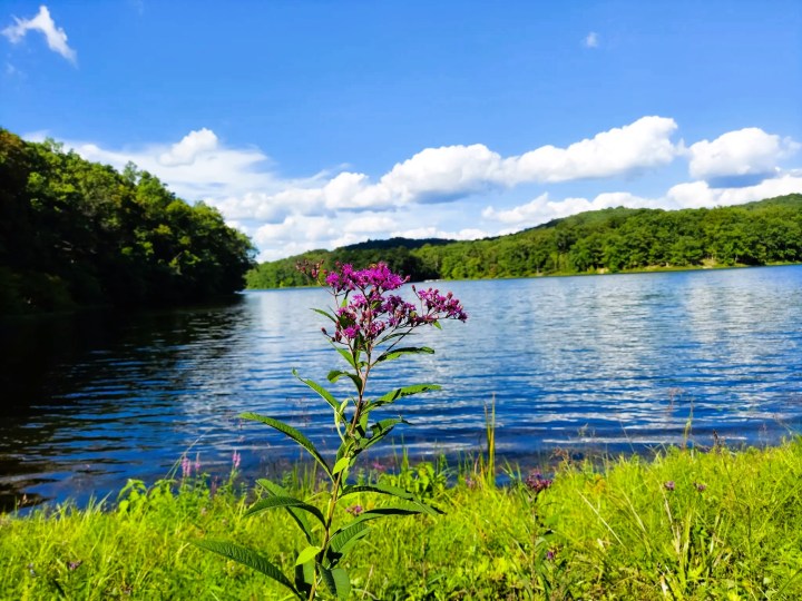 Scenic Drives In Indiana