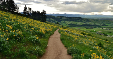 9 Easy And Beautiful Spring Hikes Everyone In Montana Will Love