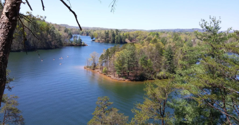 9 Easy And Beautiful Spring Hikes Everyone In South Carolina Will Love