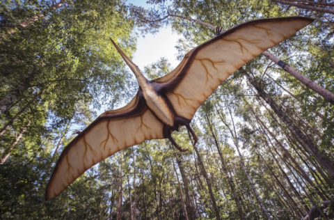 You Have To Visit This Incredible Dinosaur Forest Coming To Maryland